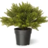 15" Globe Cedar Tree^National Tree Company Cheap