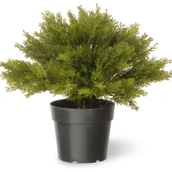 15" Globe Cedar Tree^National Tree Company Cheap