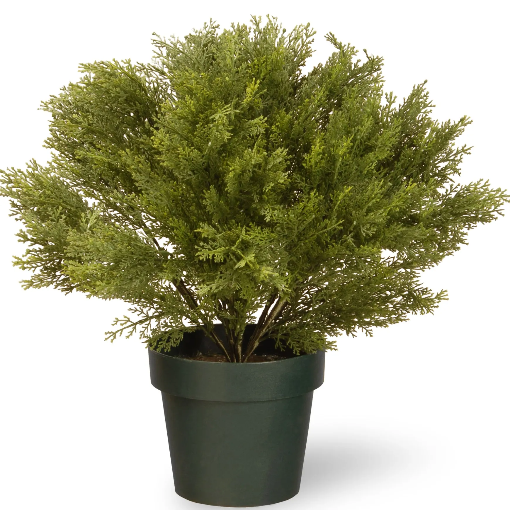 22" Globe Cedar Tree With Dark Green Round Growers Pot^National Tree Company Cheap