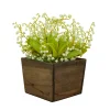 10" Green Lily-Of-The-Valley Flowers In Wood Box^National Tree Company Store