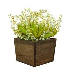10" Green Lily-Of-The-Valley Flowers In Wood Box^National Tree Company Store