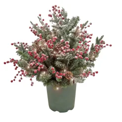 Discount National Tree Company 28" Hgtv Home Collection Pre-Lit Frosted Traditions Planter Filler