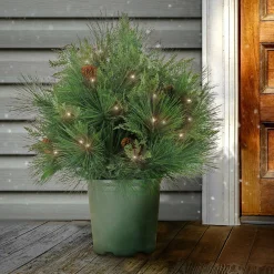 Clearance National Tree Company 26" Hgtv Home Collection Pre-Lit Black Tie Planter Filler