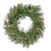 Shop National Tree Company 28" Hgtv Home Collection Pre-Lit Black Tie Cedar Wreath