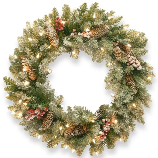 Flash Sale National Tree Company 30 In. Dunhill(R) Fir Wreath With Clear Lights