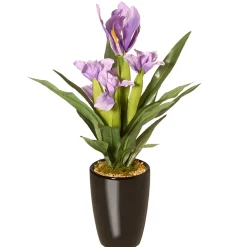 17" Iris Plant In Ceramic Pot^National Tree Company Shop