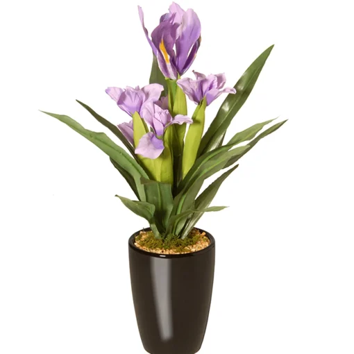 17" Iris Plant In Ceramic Pot^National Tree Company Shop