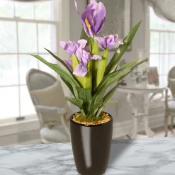 17" Iris Plant In Ceramic Pot^National Tree Company Shop