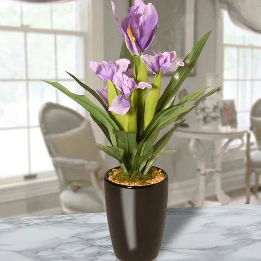 17" Iris Plant In Ceramic Pot^National Tree Company Shop
