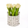 10" Light Yellow Tulip Bouquet In White Basket^National Tree Company Outlet