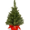 Discount National Tree Company 24" Majestic Fir Tree