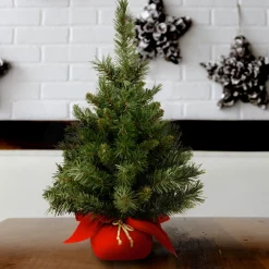 Discount National Tree Company 24" Majestic Fir Tree