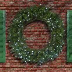 Discount National Tree Company 48" Memory-Shape® Norwood Fir Wreath With White Led Lights