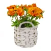 Shop National Tree Company 10" Orange Anemone Flower Bouquet In White Basket