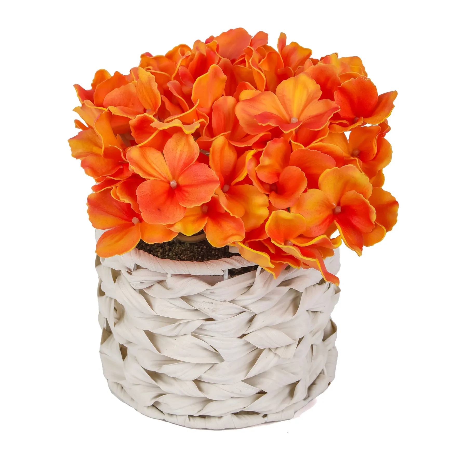 10" Orange Hydrangea Bouquet In White Basket^National Tree Company Online