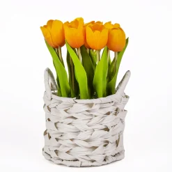 10" Orange Tulip Bouquet In White Basket^National Tree Company Clearance