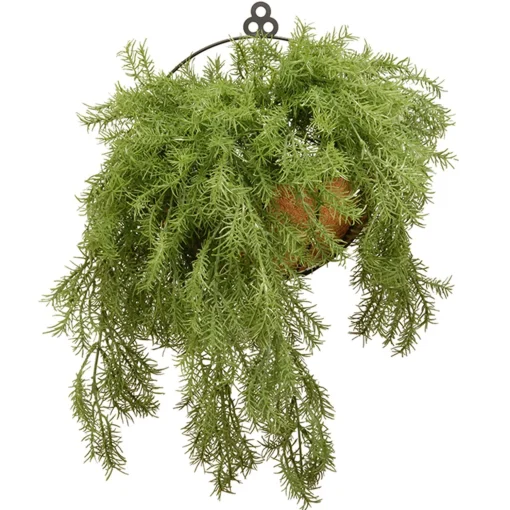 Flash Sale National Tree Company 20" Pine Branch Wall Basket