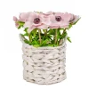 10" Pink Anemone Flower Bouquet In White Basket^National Tree Company Sale