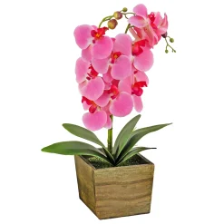 Clearance National Tree Company 21" Pink Orchid Flower In Wood Box