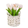 Online National Tree Company 10" Pink Tulip Bouquet In White Basket