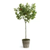 41" Potted Orange Tree^National Tree Company Discount