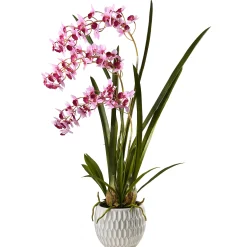 33" Potted Orchid Plant^National Tree Company Cheap