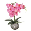 21" Potted Pink Orchid Flower^National Tree Company Sale