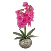 Flash Sale National Tree Company 21" Potted Purple Orchid Flower