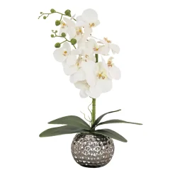 Cheap National Tree Company 21" Potted White Orchid Flower
