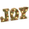 Flash Sale National Tree Company 27" Pre-Lit Joy Decoration