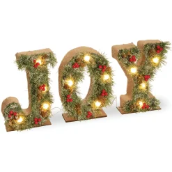 Flash Sale National Tree Company 27" Pre-Lit Joy Decoration
