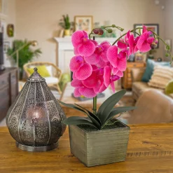 New National Tree Company 21" Purple Orchid Flower In Wood Box
