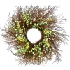 Clearance National Tree Company 24" Spring White & Cream Forsythia Twig Wreath