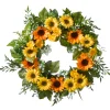 18" Sunflower Wreath On Woven Branch Base^National Tree Company New
