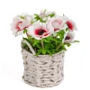 Clearance National Tree Company 10" White Anemone Flower Bouquet In White Basket