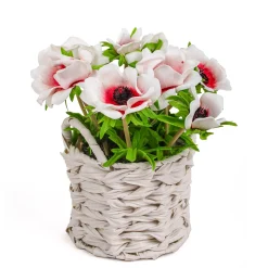 10" White Anemone Flower Bouquet In White Basket^National Tree Company Outlet