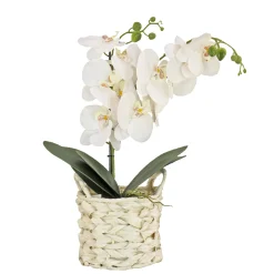 Outlet National Tree Company 21" White Orchid Flower In White Basket