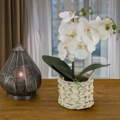 Outlet National Tree Company 21" White Orchid Flower In White Basket