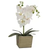 Sale National Tree Company 21" White Orchid Flower In Wood Box