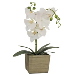 Sale National Tree Company 21" White Orchid Flower In Wood Box