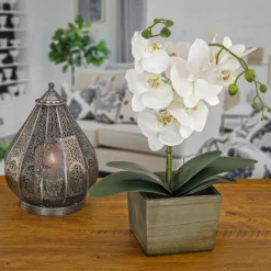 Sale National Tree Company 21" White Orchid Flower In Wood Box