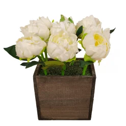 10" White Peony Flowers In Wood Box^National Tree Company Cheap