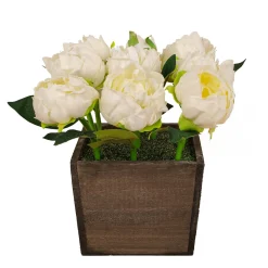 Cheap National Tree Company 10" White Peony Flowers In Wood Box