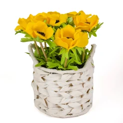 10" Yellow Anemone Flower Bouquet In White Basket^National Tree Company Cheap