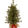 Discount National Tree Company Artificial Christmas Tree, Bristle Cone Pine, Includes Cloth Base, 3 Feet