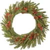 Best National Tree Company Artificial Christmas Wreath, Green, Dorchester, Decorated With Pine Cones, Berry Clusters, Christmas Collection, 24 Inches