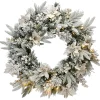 Discount National Tree Company Artificial Christmas Wreath, Green, Colonial Fir, White Lights, Decorated With Berry Clusters, Flowers, Frosted Branches, Christmas Collection, 24 Inches