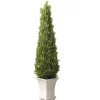 Outlet National Tree Company Artificial Entrance Tree, Juniper, Includes Stylish Wooden White Base, Spring Collection, 42 Inches