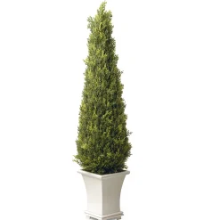 Outlet National Tree Company Artificial Entrance Tree, Juniper, Includes Stylish Wooden White Base, Spring Collection, 42 Inches