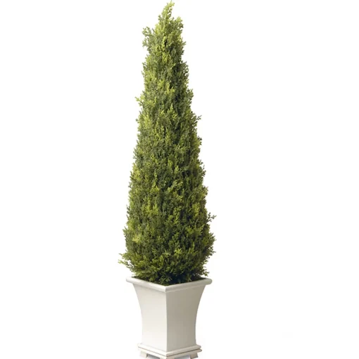 Outlet National Tree Company Artificial Entrance Tree, Juniper, Includes Stylish Wooden White Base, Spring Collection, 42 Inches